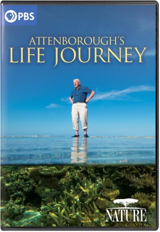 NATURE: Attenborough's Life Journey DVD [DVD]