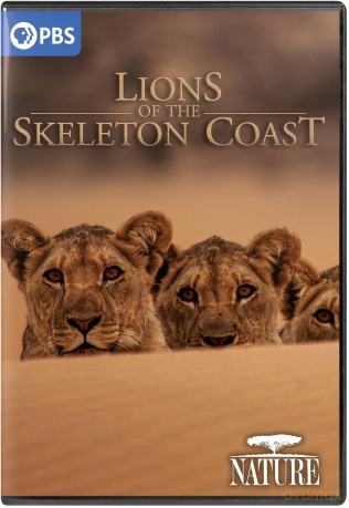 NATURE: Lions of the Skeleton Coast DVD [DVD]
