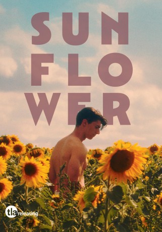 Sunflower [DVD]
