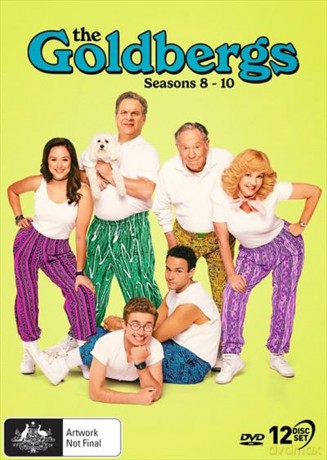 The Goldbergs: Seasons 8-10 [DVD]