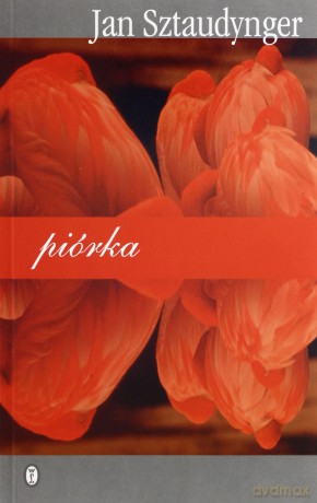 Piórka [KSĄŻKA]