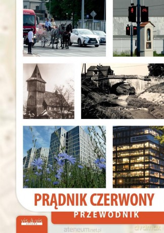 Czerwony Prądnik. Przewodnik - Henryk Łukasik [KSIĄŻKA]