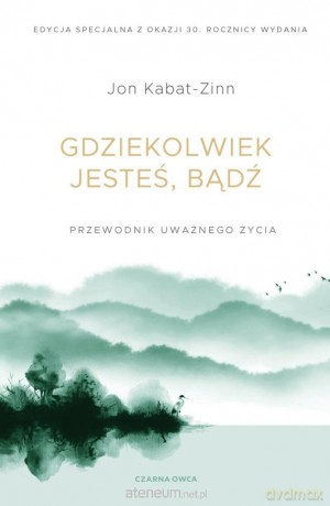 Gdziekolwiek jesteś, bądź - Jon Kabat-Zinn [KSIĄŻKA]