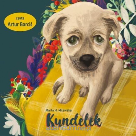 Kundelek audiobook - Marta H. Milewska [AUDIOBOOK]