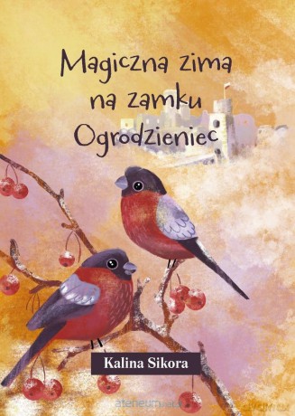 Magiczna zima na zamku Ogrodzieniec - Kalina Sikora [KSIĄŻKA]
