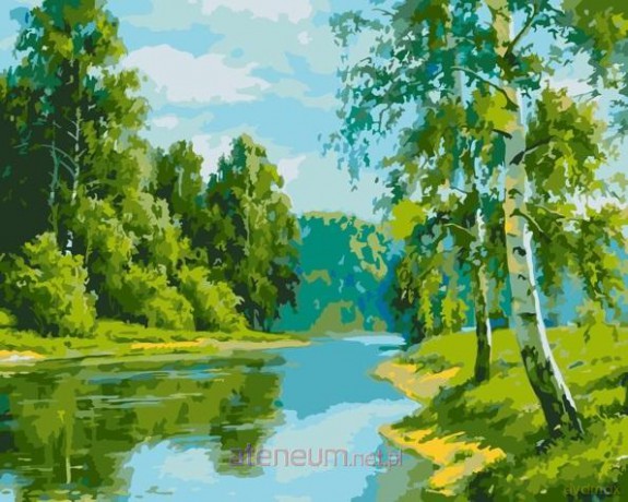Malowanie po numerach - Brzozowa krawędź 40x50cm