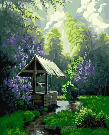 Malowanie po numerach - Letni deszcz 40x50cm