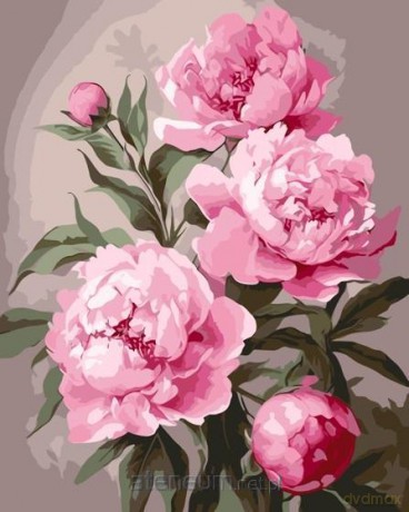 Malowanie po numerach - Piwonia 40x50cm