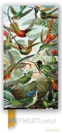 Notatnik linia Kolibry Ernst Haeckel