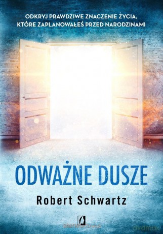 Odważne dusze. Odkryj prawdziwe znaczenie życia.. - Robert Schwartz [KSIĄŻKA]