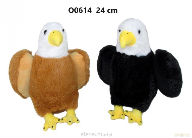 Orzeł 24cm MIX