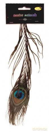Pióro pawia 25cm