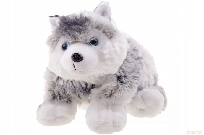 Poduszka pies husky 22x27cm