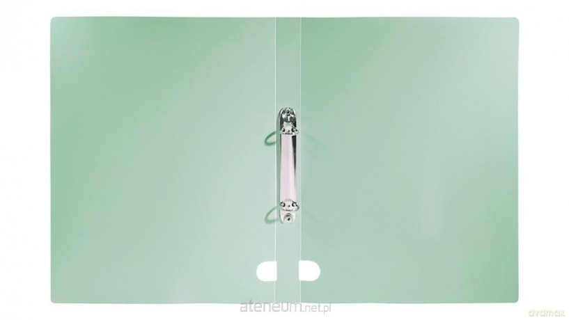 Segregator A4 PP 3cm 2R zieleń morandi