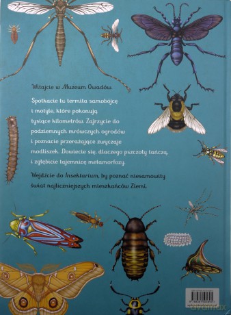 W Muzeum. Insektarium. Muzeum Owadów - Dave Goulson, Emily Carter [KSIĄŻKA]