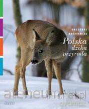 Polska dzika przyroda Sarna [KSĄŻKA]