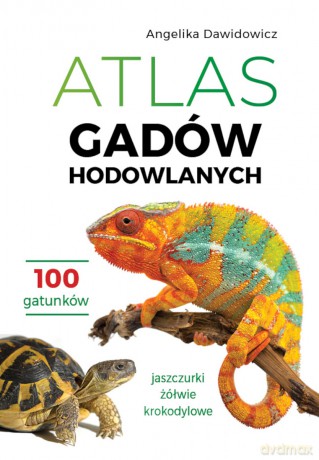 Atlas gadów hodowlanych. 100 gatunków. Jaszczurki, żółwie, krokodylowe - Angelika Dawidowicz [KSIĄŻKA]
