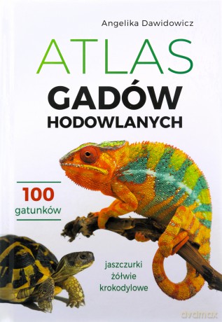Atlas gadów hodowlanych. 100 gatunków. Jaszczurki, żółwie, krokodylowe - Angelika Dawidowicz [KSIĄŻKA]