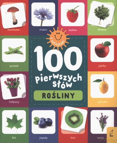 Rośliny. 100 pierwszych słów - Opracowanie zbiorowe [KSIĄŻKA]