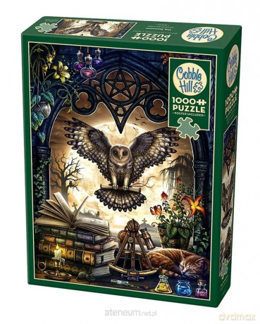 G3 1000 el. Biurko alchemika [PUZZLE]