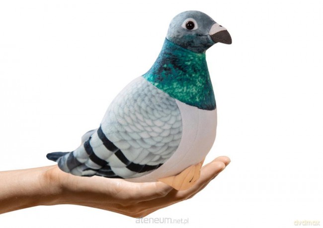 Gołąb grzywacz szary pluszowy 20 cm