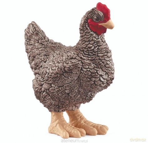 Kura rasy Plymouth Rock [FIGURKA]