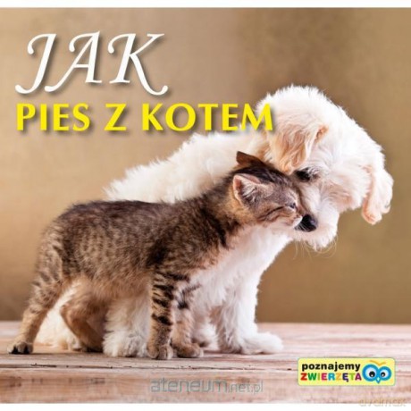 Poznajemy zwierzęta - Jak pies z kotem [KSĄŻKA]