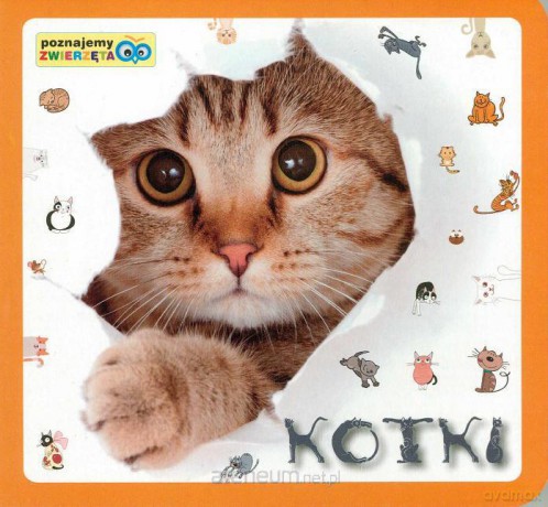 Poznajemy zwierzęta - Kotki [KSĄŻKA]