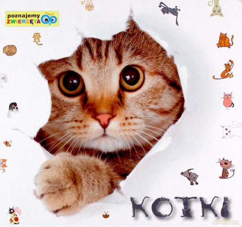 Poznajemy zwierzęta - Kotki [KSĄŻKA]