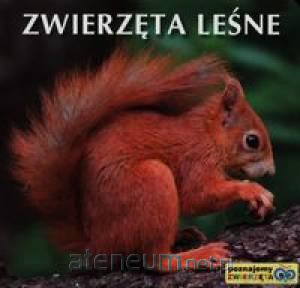Poznajemy zwierzęta - Zwierzęta leśne [KSĄŻKA]