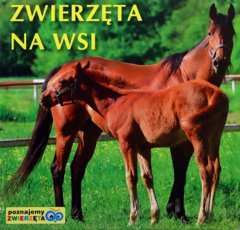 Poznajemy zwierzęta - Zwierzęta na wsi [KSĄŻKA]