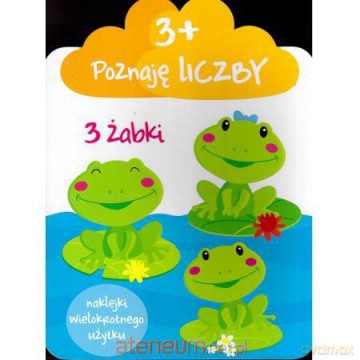 Poznaję liczby 3+ [KSĄŻKA]