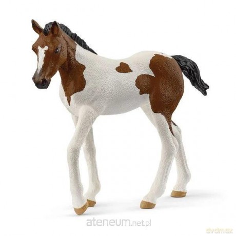 Źrebak rasy Paint Horse [FIGURKA]