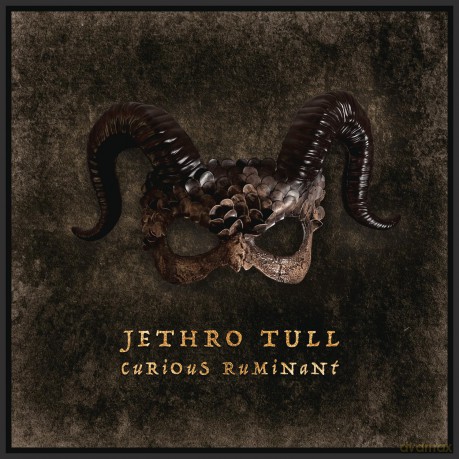 Jethro Tull: Curious Ruminant [Winyl]
