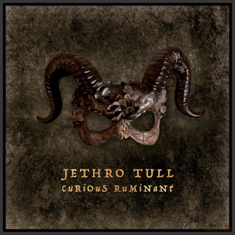 Jethro Tull: Curious Ruminant [Winyl]