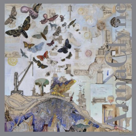 Anna Clyne: Anna Clyne: Blue Moth [CD]