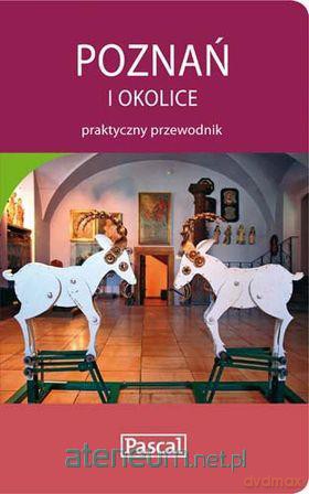 Praktyczny przewodnik - Poznań i okolice [KSĄŻKA]