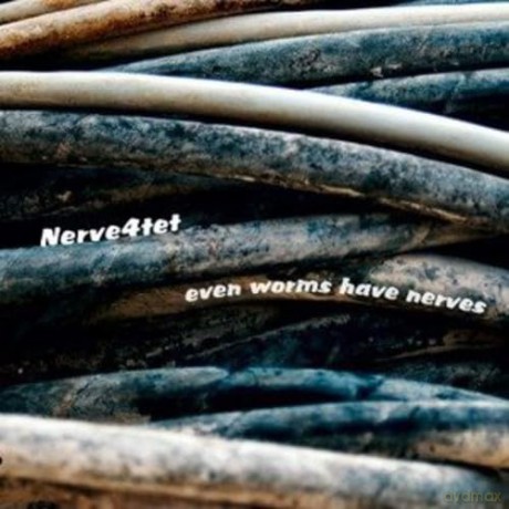 Nerve4tet: Even Worms Have Nerves [CD]