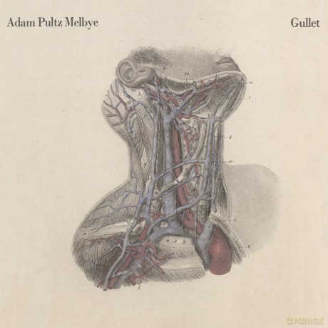 Adam Pultz Melbye: Gullet [CD]
