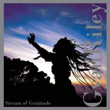 Gyan Riley: Gyan Riley: Stream of Gratitude [CD]