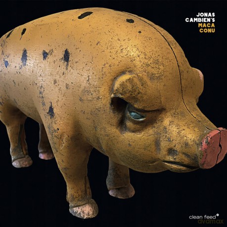 Jonas Cambien: Maca Conu [CD]