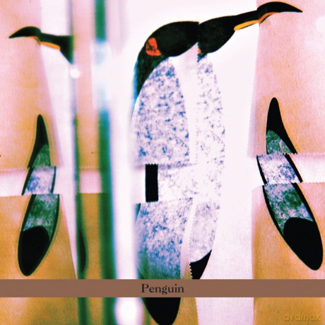 Haggai Cohen-Milo: Penguin [CD]