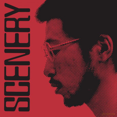 Ryo Fukui: Scenery [Winyl]