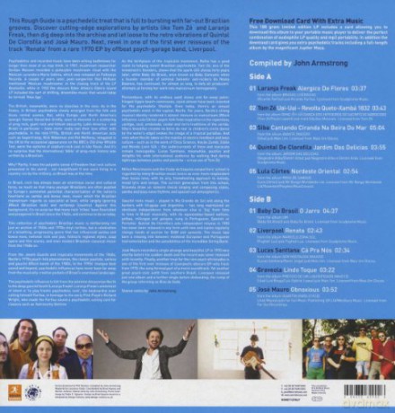 The Rough Guide To Psychedelic Brazil [Winyl]