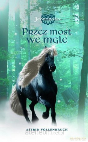 Jednorożec. Przez most we mgle [KSIĄŻKA]