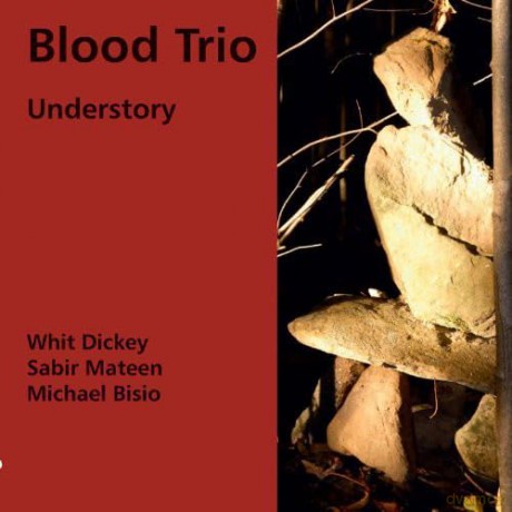 Blood Trio: Understory [CD]