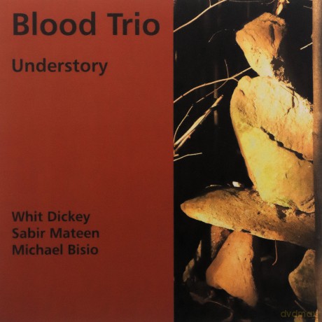 Blood Trio: Understory [CD]
