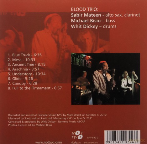 Blood Trio: Understory [CD]