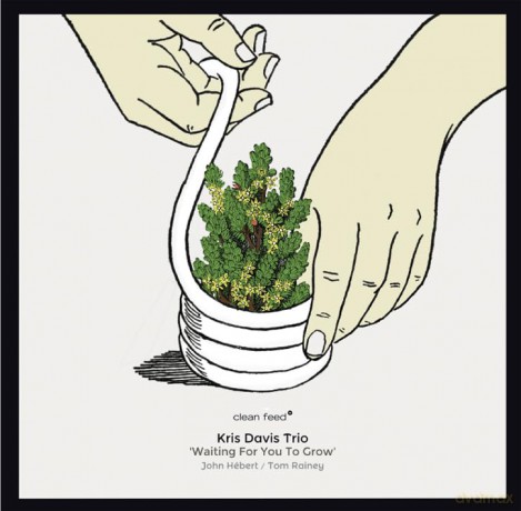 Kris Davis Trio: Waiting For You To Grow [CD]