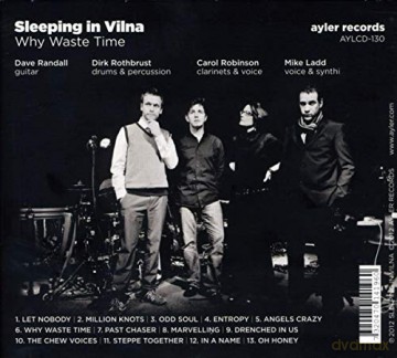 Sleeping in Vilna: Why Waste Time [CD]